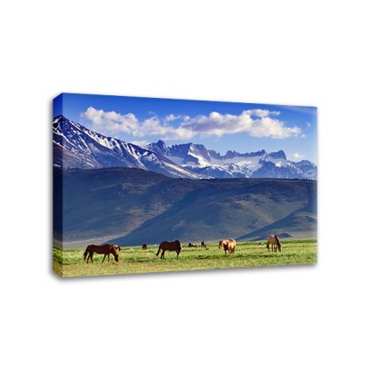 fabrica de stickere tablouri canvas print